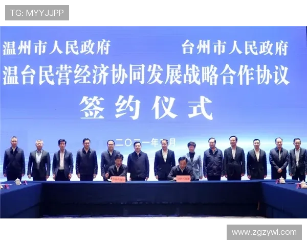 聚焦温州企业家创新实践引领民营经济高质量发展路径全面探析新篇